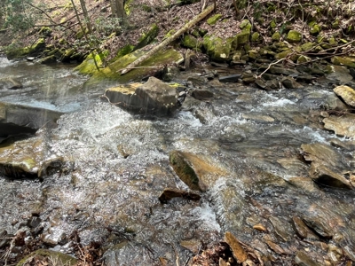 126+- Acres on top of the Cumberland Plateau Whitwell TN - image 20