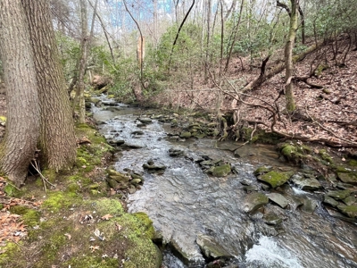 126+- Acres on top of the Cumberland Plateau Whitwell TN - image 33