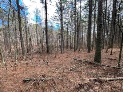 126+- Acres on top of the Cumberland Plateau Whitwell TN - image 44