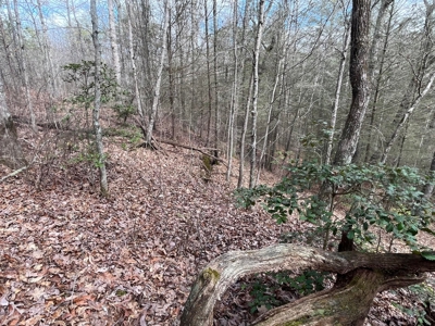 126+- Acres on top of the Cumberland Plateau Whitwell TN - image 47