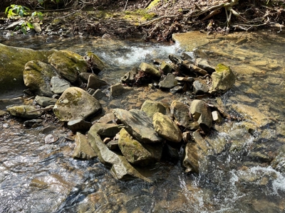 126+- Acres on top of the Cumberland Plateau Whitwell TN - image 12