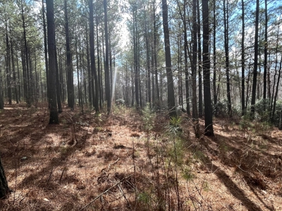 126+- Acres on top of the Cumberland Plateau Whitwell TN - image 3