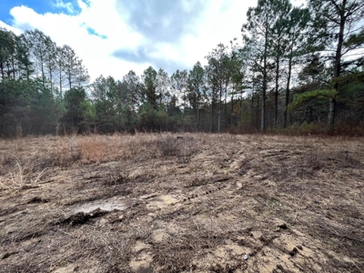 126+- Acres on top of the Cumberland Plateau Whitwell TN - image 8