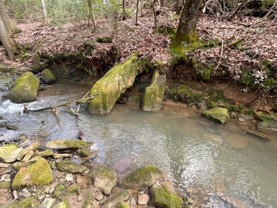 126+- Acres on top of the Cumberland Plateau Whitwell TN - image 32