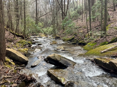 126+- Acres on top of the Cumberland Plateau Whitwell TN - image 14