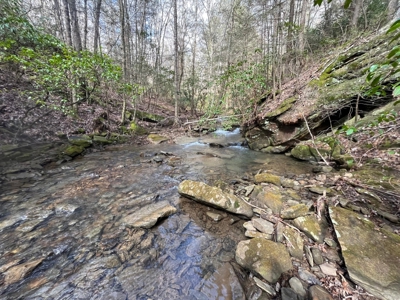 126+- Acres on top of the Cumberland Plateau Whitwell TN - image 19