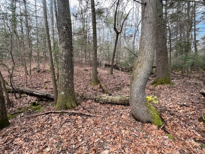 126+- Acres on top of the Cumberland Plateau Whitwell TN - image 34