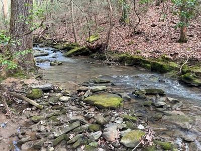 126+- Acres on top of the Cumberland Plateau Whitwell TN - image 37
