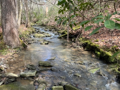 126+- Acres on top of the Cumberland Plateau Whitwell TN - image 36