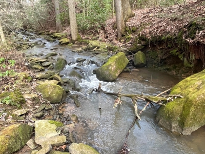 126+- Acres on top of the Cumberland Plateau Whitwell TN - image 31