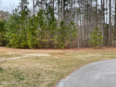 Land For Sale In Albemarle Plantation, Hertford Nc - image 5