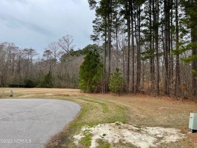 Land For Sale In Albemarle Plantation, Hertford Nc - image 4