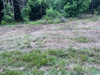 4.7 Unrestricted Acres For Sale In Tazewell,Tn - image 4