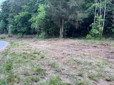4.7 Unrestricted Acres For Sale In Tazewell,Tn - image 5