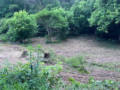 4.7 Unrestricted Acres For Sale In Tazewell,Tn - image 1
