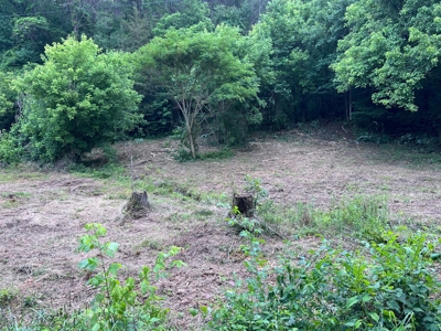 4.7 Unrestricted Acres For Sale In Tazewell,Tn - image 3