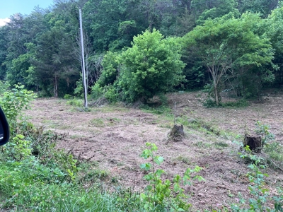 4.7 Unrestricted Acres For Sale In Tazewell,Tn - image 2