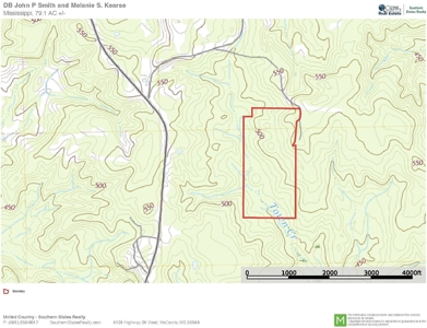 Jasper County, MS Land for Sale - image 19