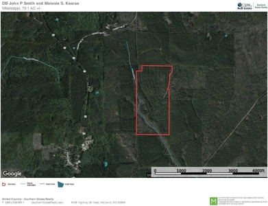 Jasper County, MS Land for Sale - image 17
