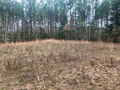 Jasper County, MS Land for Sale - image 8