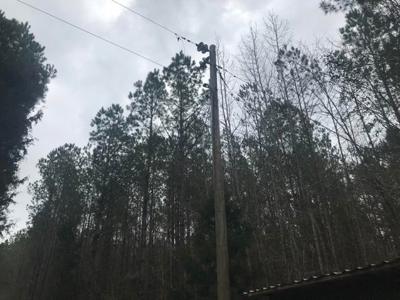 Jasper County, MS Land for Sale - image 11