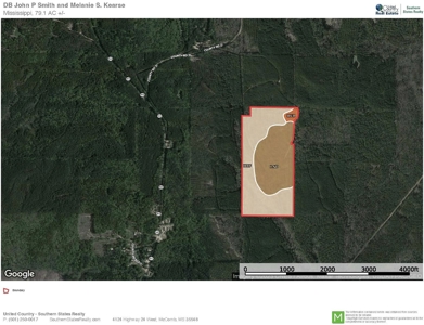 Jasper County, MS Land for Sale - image 20