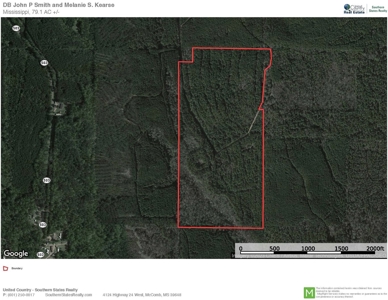Jasper County, MS Land for Sale - image 16