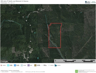 Jasper County, MS Land for Sale - image 18