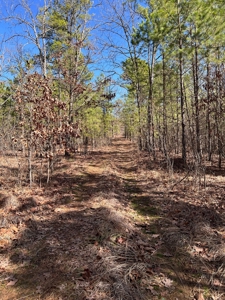 Land For Sale Mountain Views Near Sardis Lake - Yanush, Ok - image 5