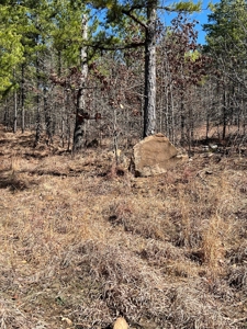 Land For Sale Mountain Views Near Sardis Lake - Yanush, Ok - image 4