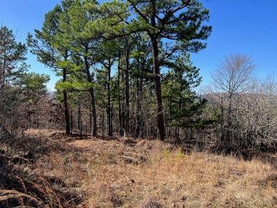Land For Sale Mountain Views Near Sardis Lake - Yanush, Ok - image 7