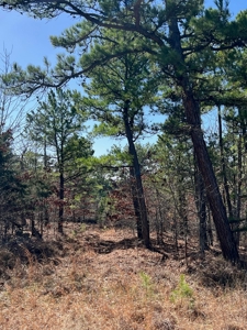Land For Sale Mountain Views Near Sardis Lake - Yanush, Ok - image 2