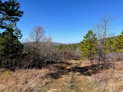 Land For Sale Mountain Views Near Sardis Lake - Yanush, Ok - image 1