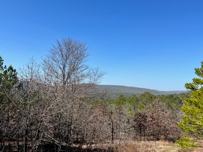 Land For Sale Mountain Views Near Sardis Lake - Yanush, Ok - image 3