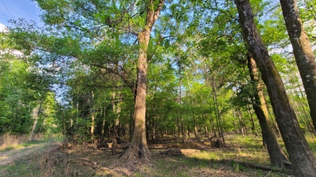 Prime Real Estate for Development in Lumberton - image 33
