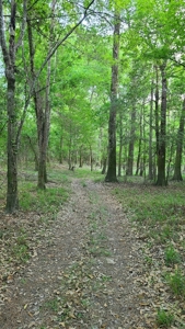 Prime Real Estate for Development in Lumberton - image 35