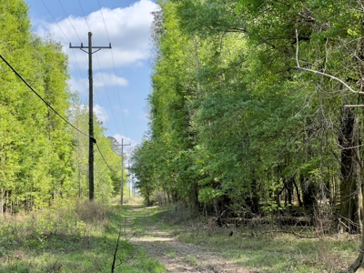 Prime Real Estate for Development in Lumberton - image 14