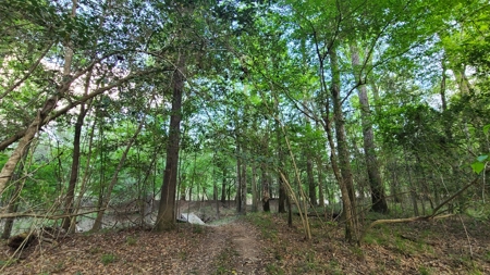 Prime Real Estate for Development in Lumberton - image 36