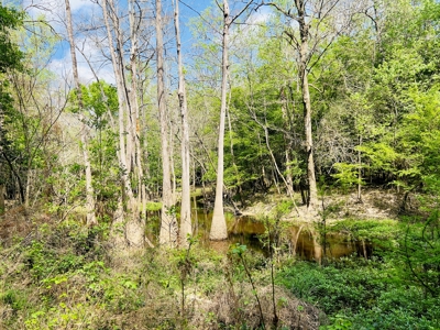 Prime Real Estate for Development in Lumberton - image 47