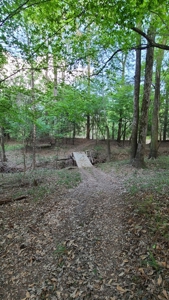 Prime Real Estate for Development in Lumberton - image 37