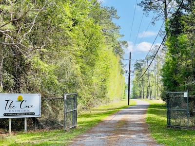 Prime Real Estate for Development in Lumberton - image 3