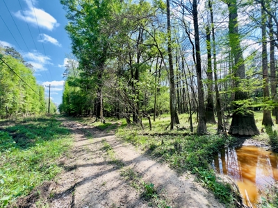 Prime Real Estate for Development in Lumberton - image 13