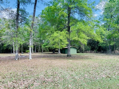 Prime Real Estate for Development in Lumberton - image 5