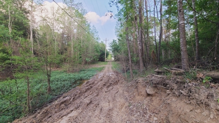 Prime Real Estate for Development in Lumberton - image 34