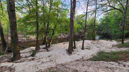Prime Real Estate for Development in Lumberton - image 41