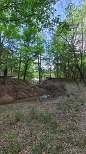 Prime Real Estate for Development in Lumberton - image 38