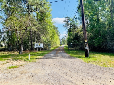 Prime Real Estate for Development in Lumberton - image 2