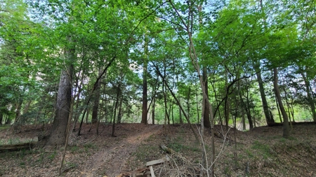 Prime Real Estate for Development in Lumberton - image 40