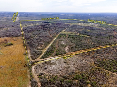200 High Fenced Acres in Jim Wells County TX - image 32