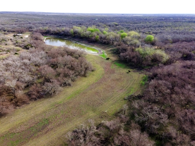 200 High Fenced Acres in Jim Wells County TX - image 29